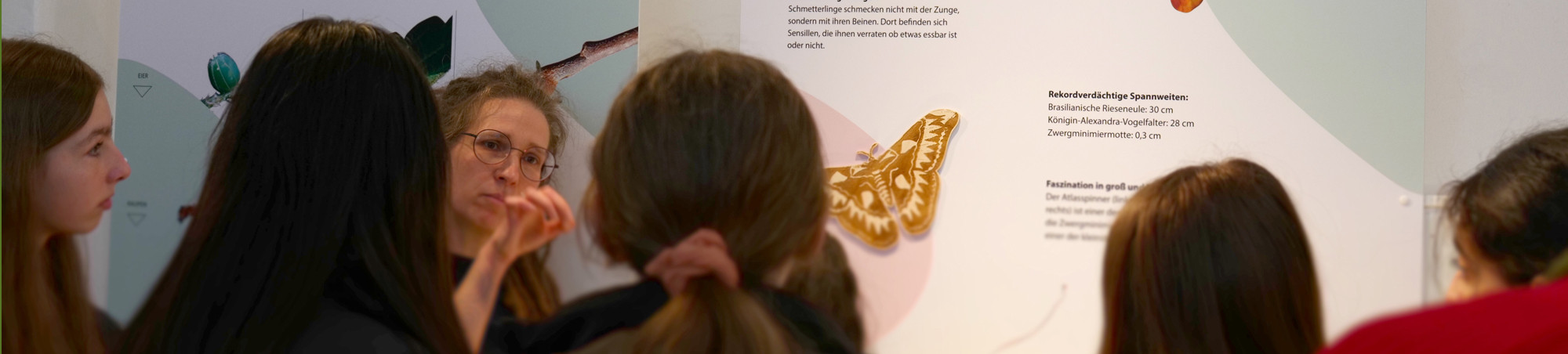 Die biologin steht vor der Tafel, was Schmetterlinge können und hört den Kindern zu.